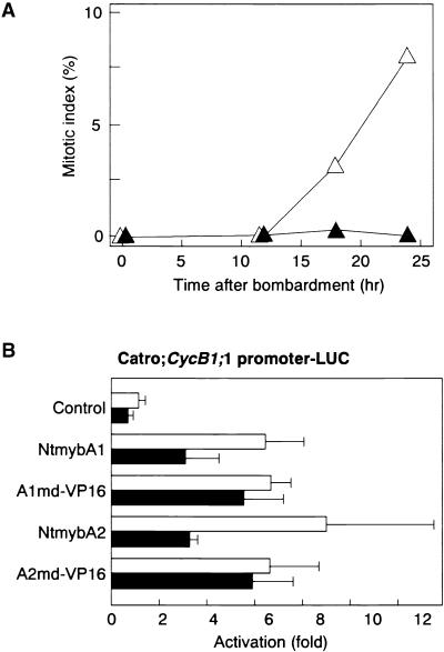 Figure 9.