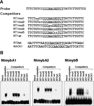 Figure 4.