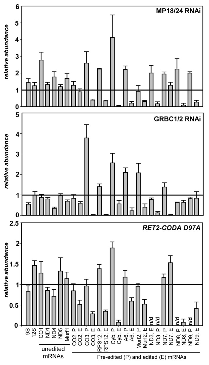 graphic file with name rna-10-1679-g1.jpg