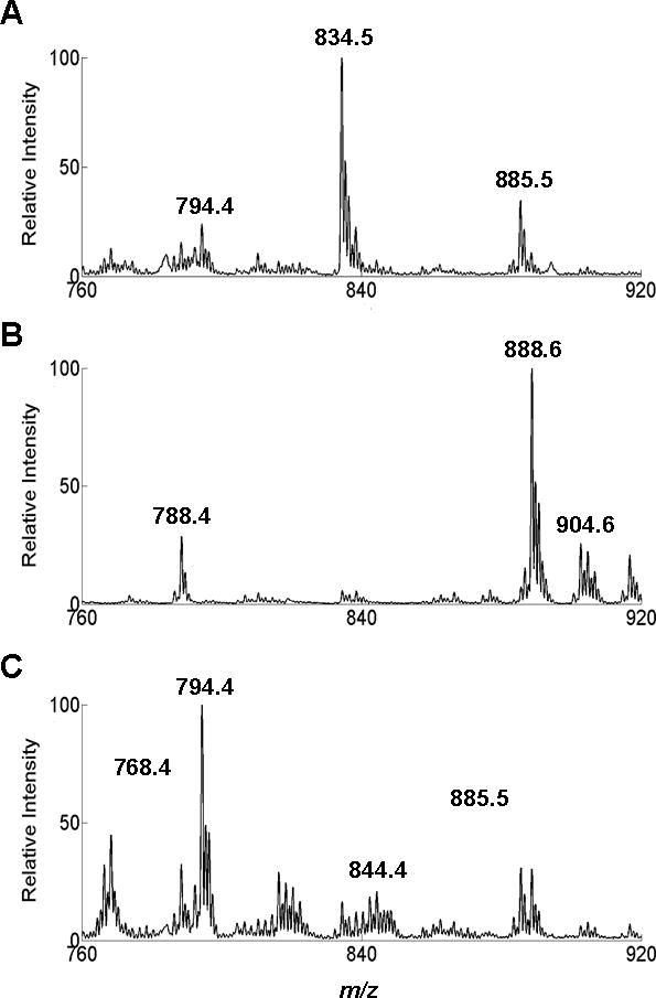 Fig. 2