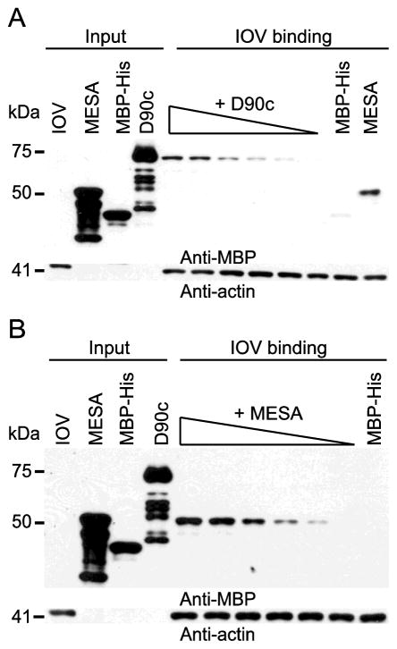 Fig. 5