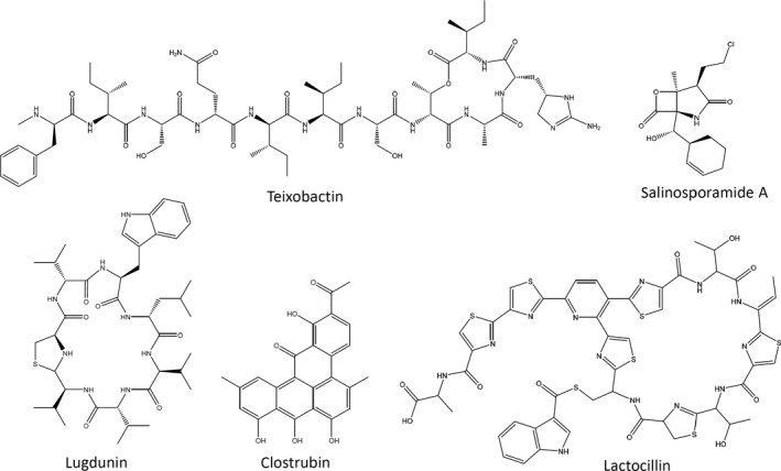 Figure 2