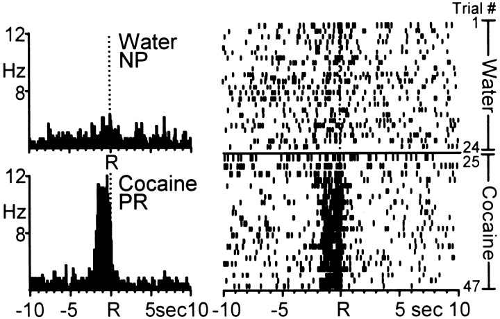 Fig. 9.