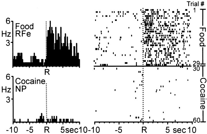 Fig. 11.