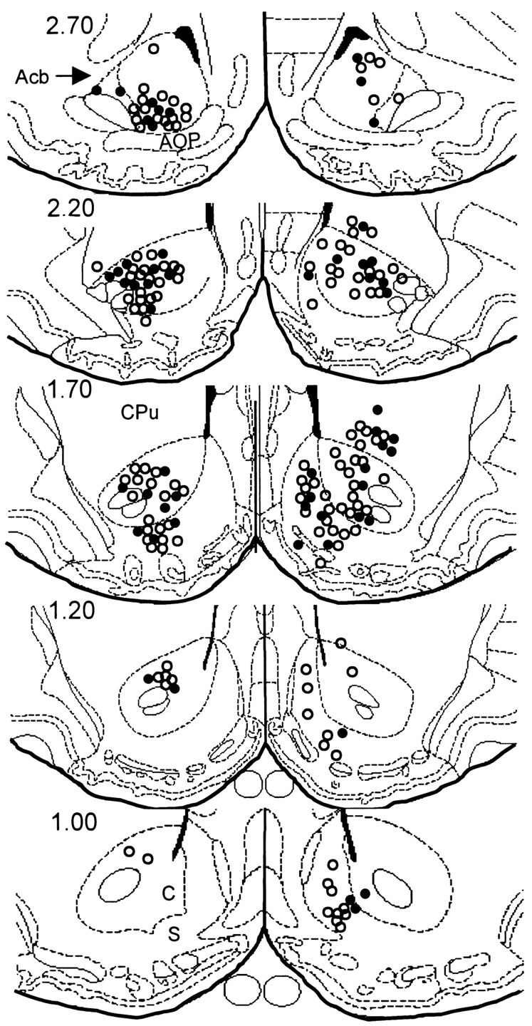 Fig. 12.