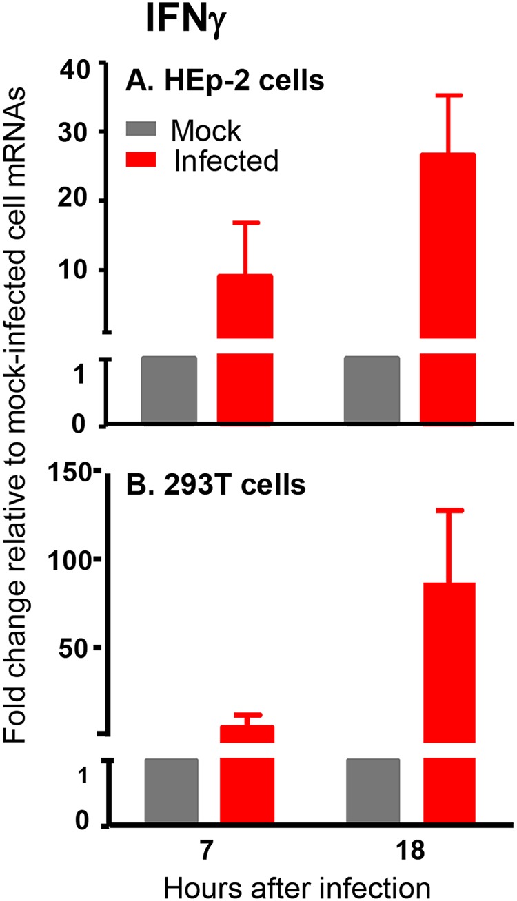 FIG 2