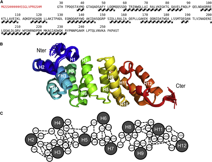 Figure 1