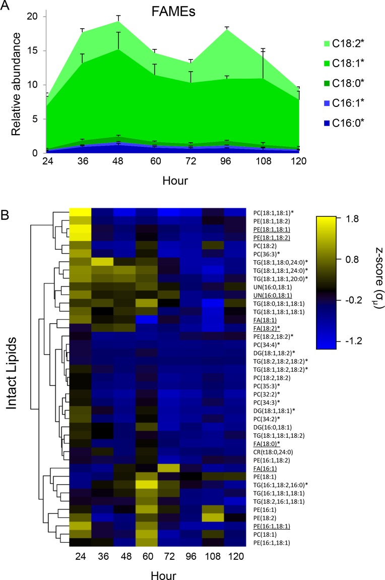 Fig 6