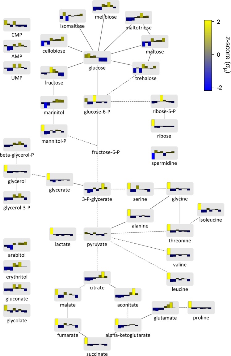 Fig 3