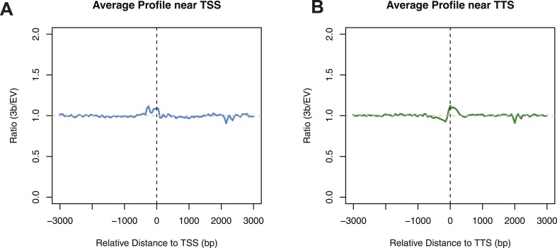 Figure 2—figure supplement 1.