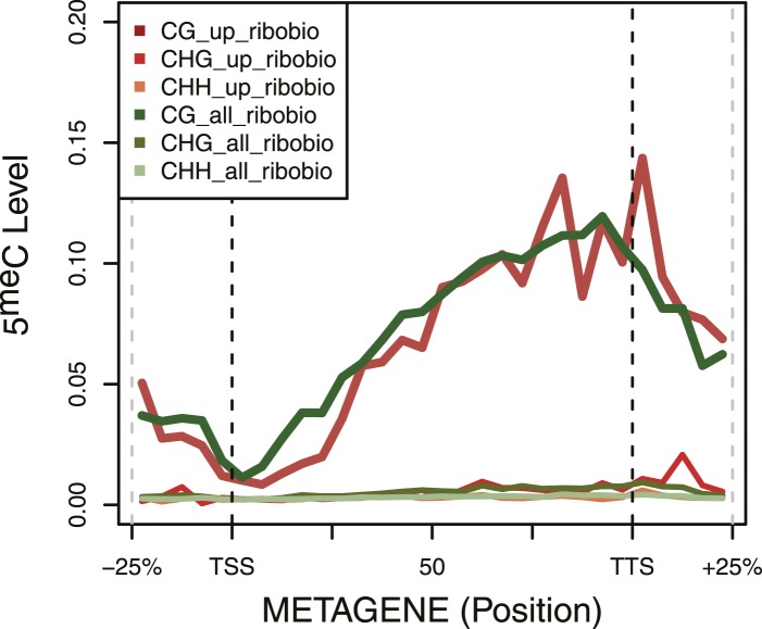 Figure 3—figure supplement 2.