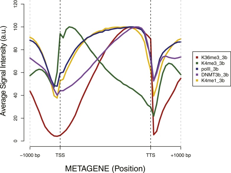 Figure 4—figure supplement 1.