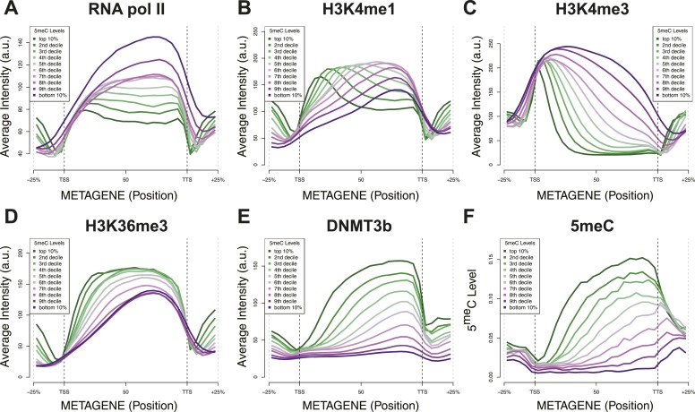 Figure 4—figure supplement 3.