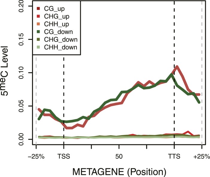 Figure 3—figure supplement 1.