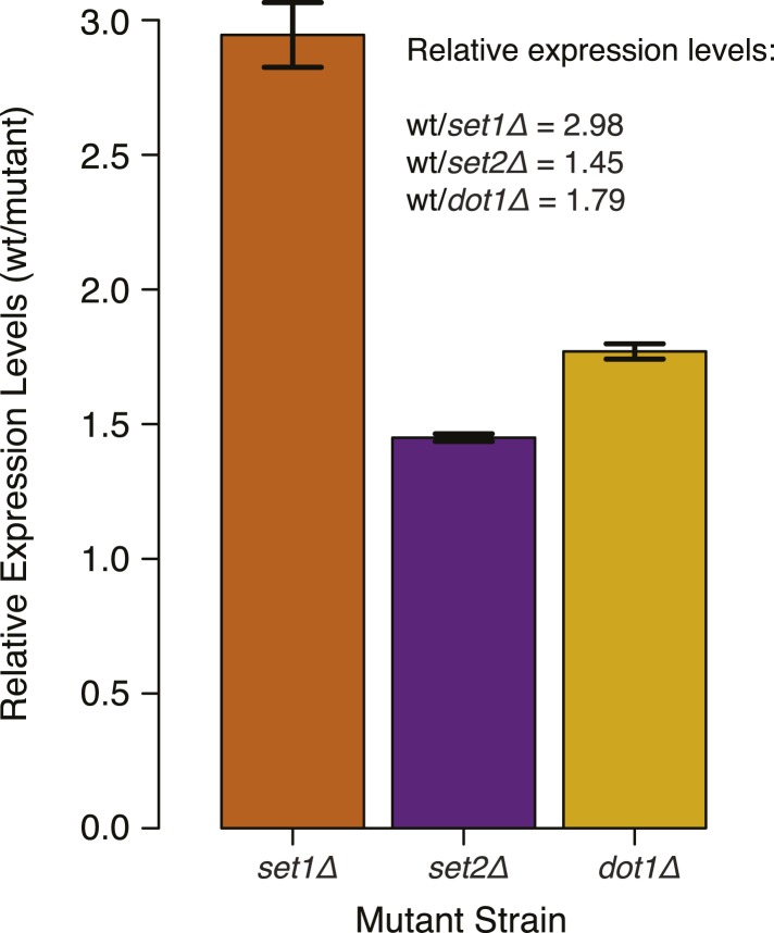 Figure 5—figure supplement 1.