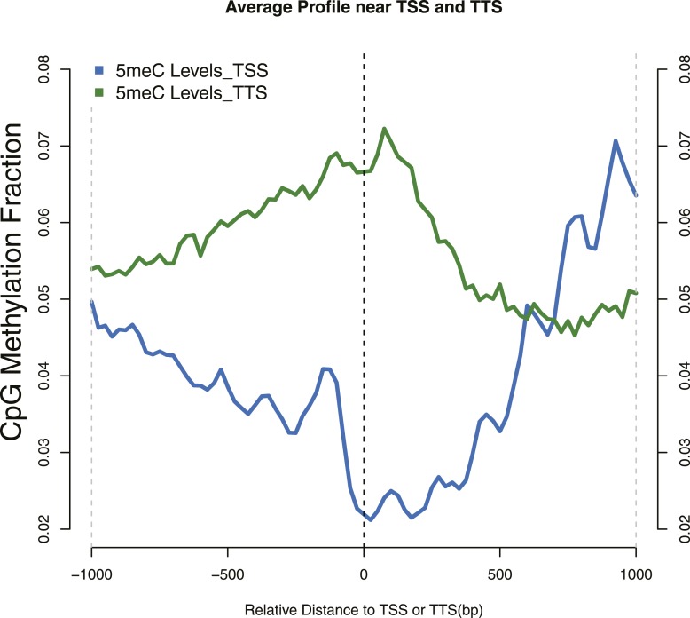 Figure 1—figure supplement 2.