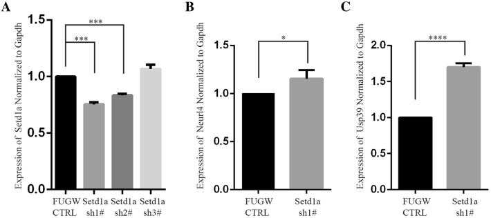 Fig. 6