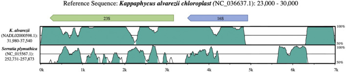 FIGURE 3