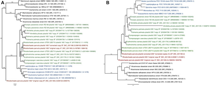 FIGURE 2