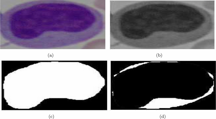 Fig. 12