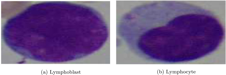 Fig. 11