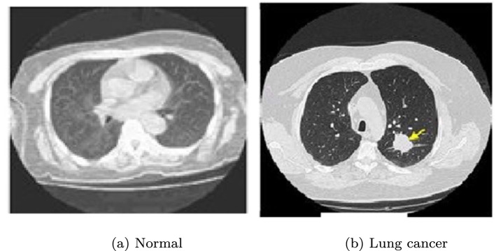 Fig. 9