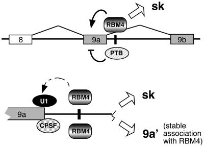 FIG. 7.