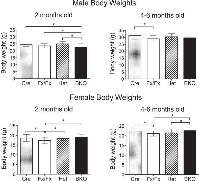 Figure 1—figure supplement 1.