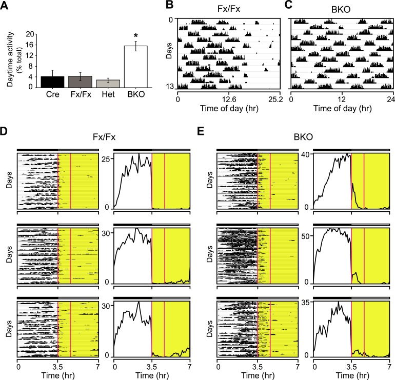 Figure 3—figure supplement 1.