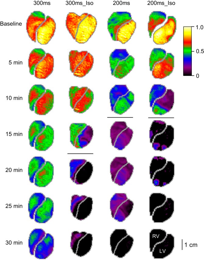 Fig. 2.