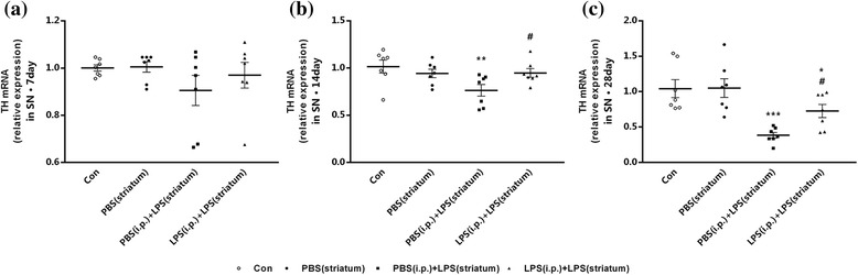 Fig. 12