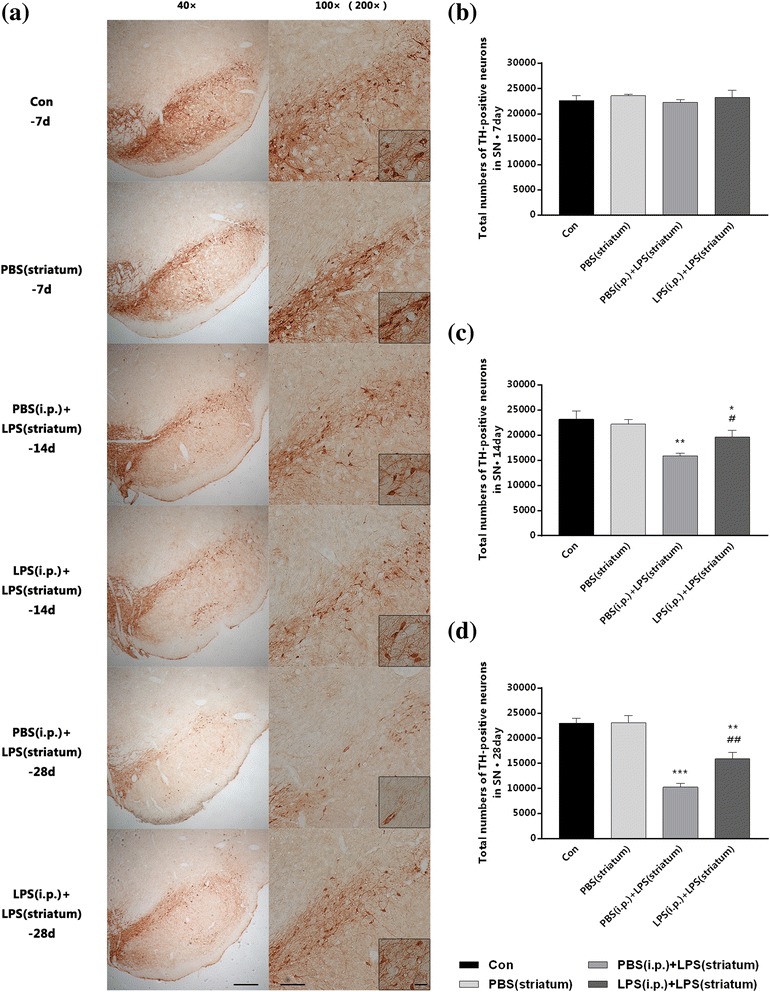 Fig. 11