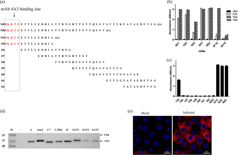 FIG 1