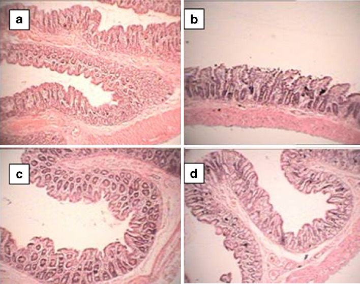 Fig. 10