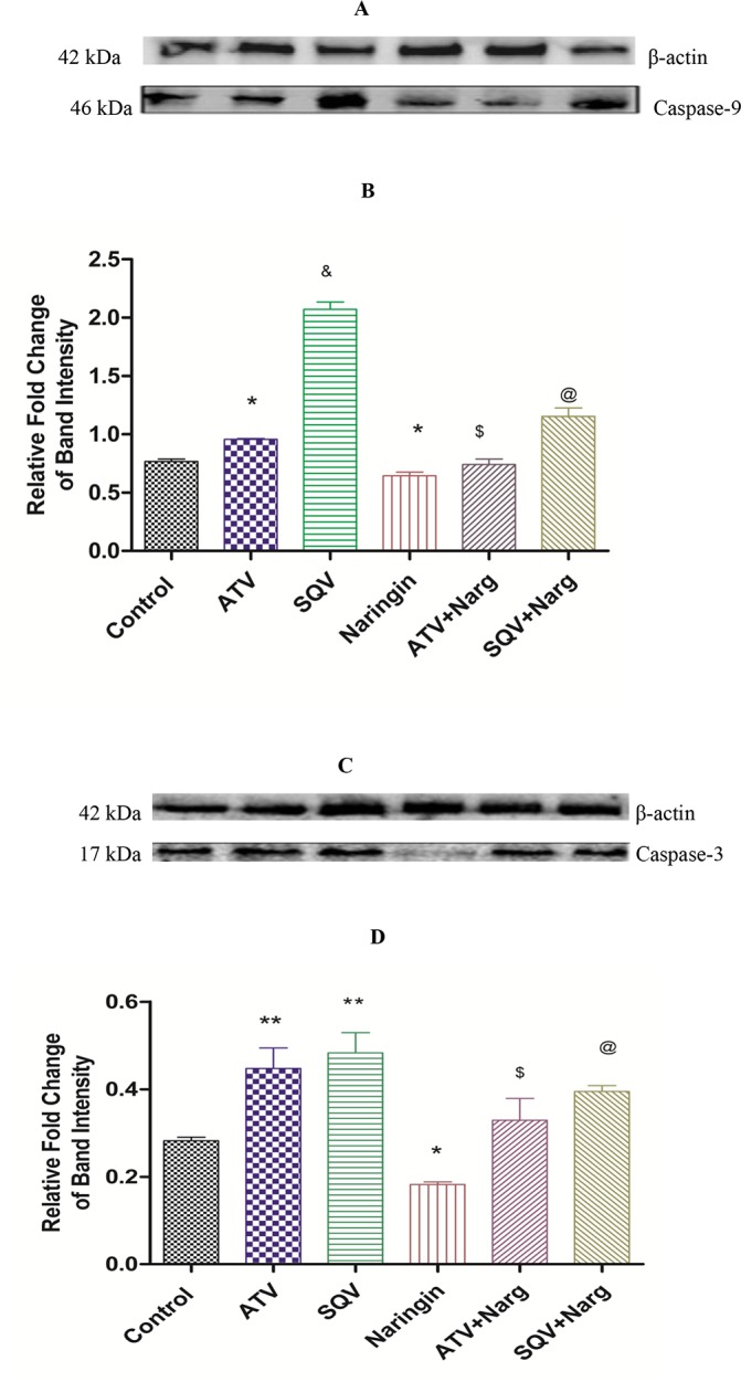 Fig 10