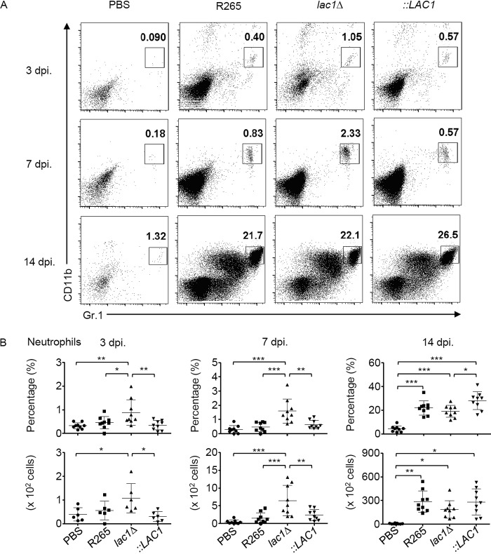 FIG 6