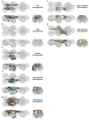Figure 17—figure supplement 9: