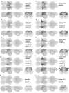 Figure 19:
