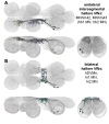 Figure 13—figure supplement 1: