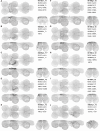 Figure 16—figure supplement 5: