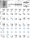 Figure 11: