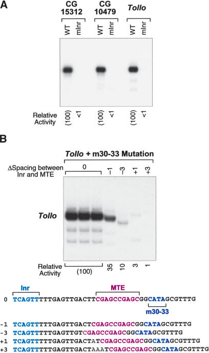 Figure 5.