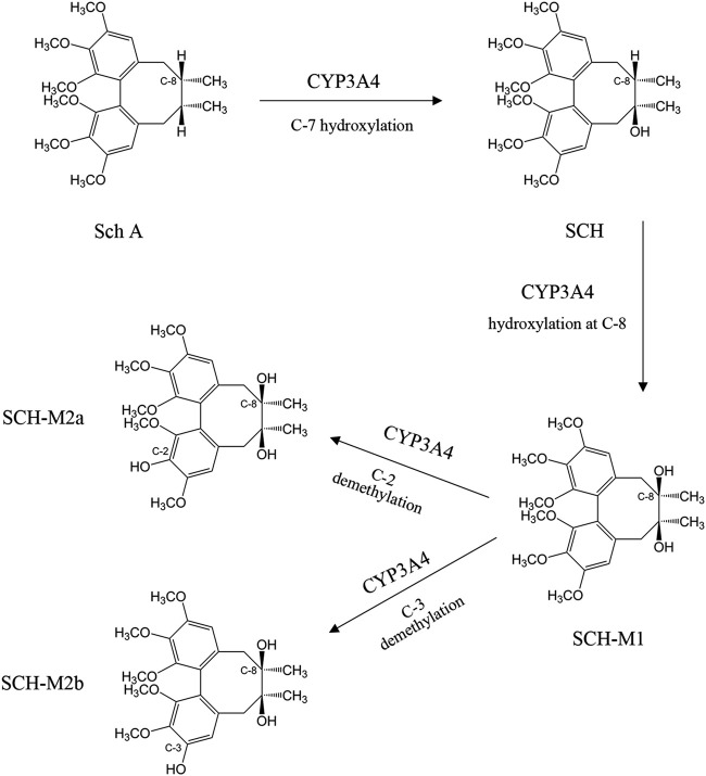 FIGURE 2