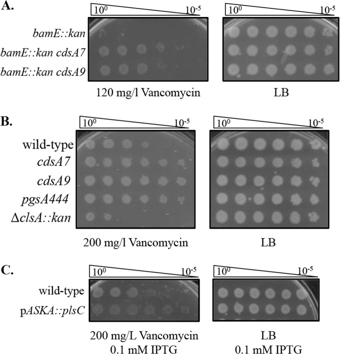 FIG 3