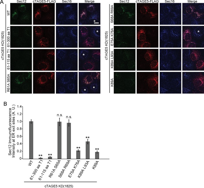 FIGURE 2: