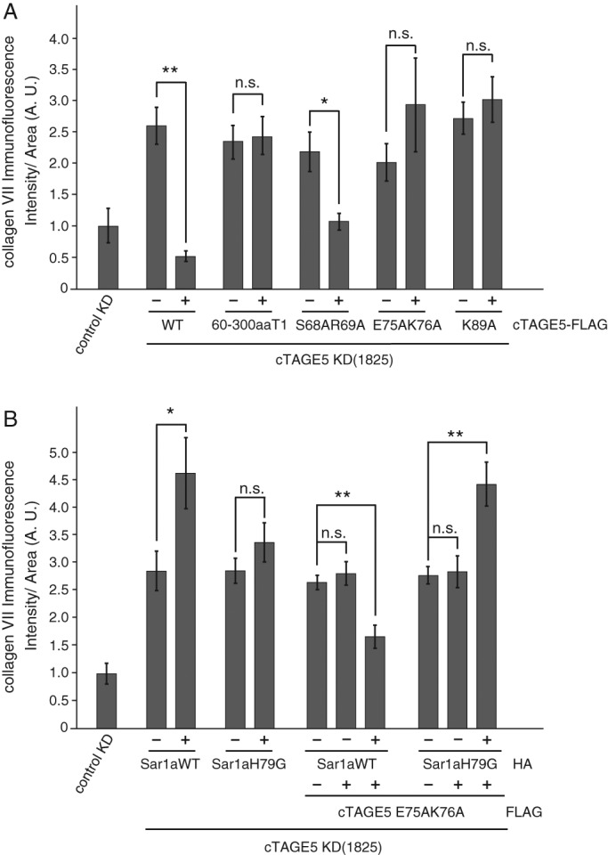 FIGURE 3: