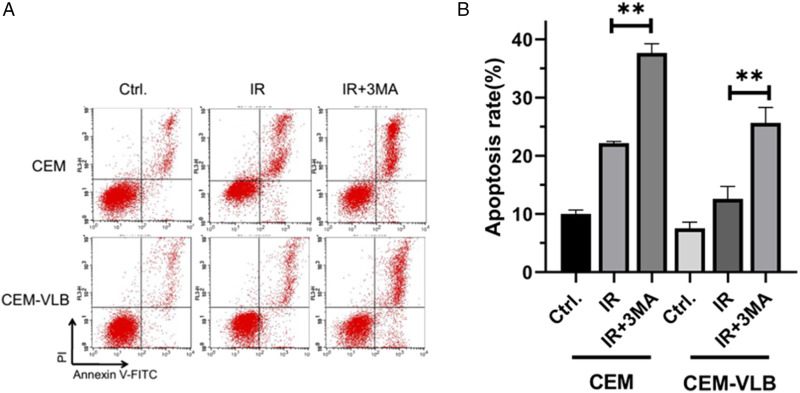 Figure 6.