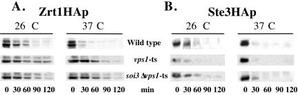 Figure 11.