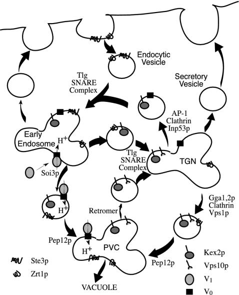 Figure 12.