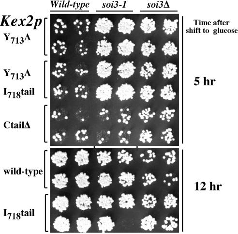 Figure 9.